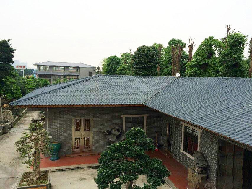 農村自建房蓋合成樹脂瓦，美得不要不要的！