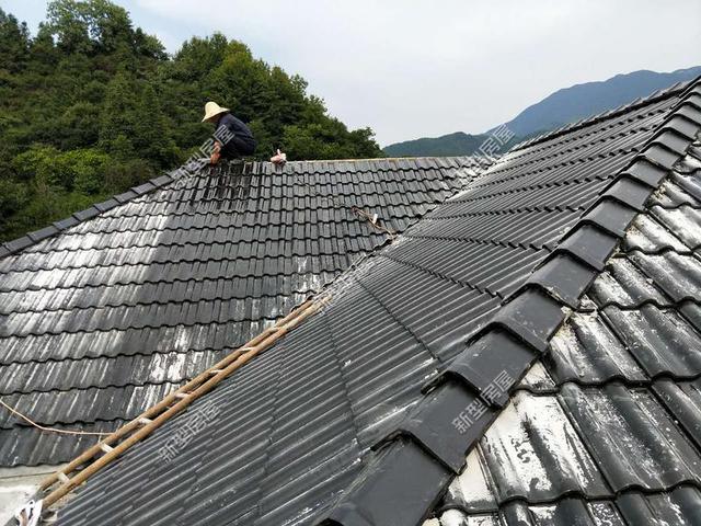 30元一平的樹脂瓦省錢又耐用？網(wǎng)友：吃飽沒事干，用一年就得換